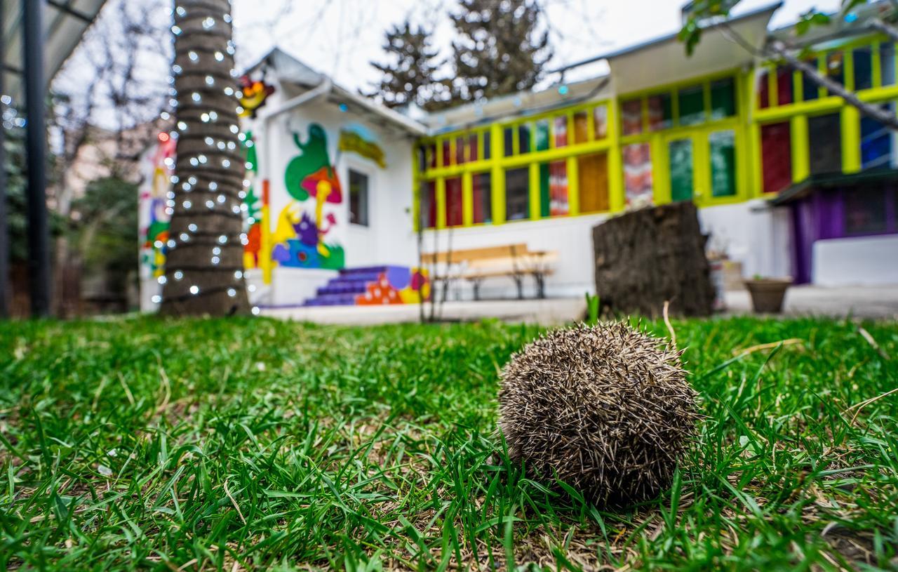 Zgarbi Hostel Tbilisi Exteriör bild